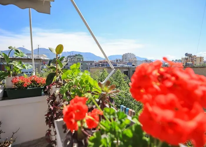 Colorful Oasis With Sunny Balcony * 티라나